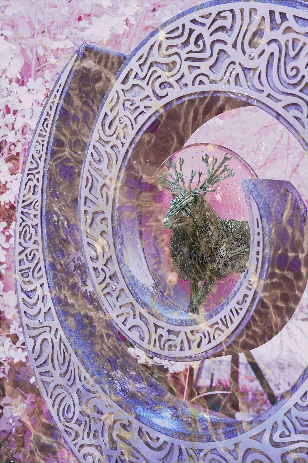 This is a composite of 2 infrared images blended in Photoshop with added textures