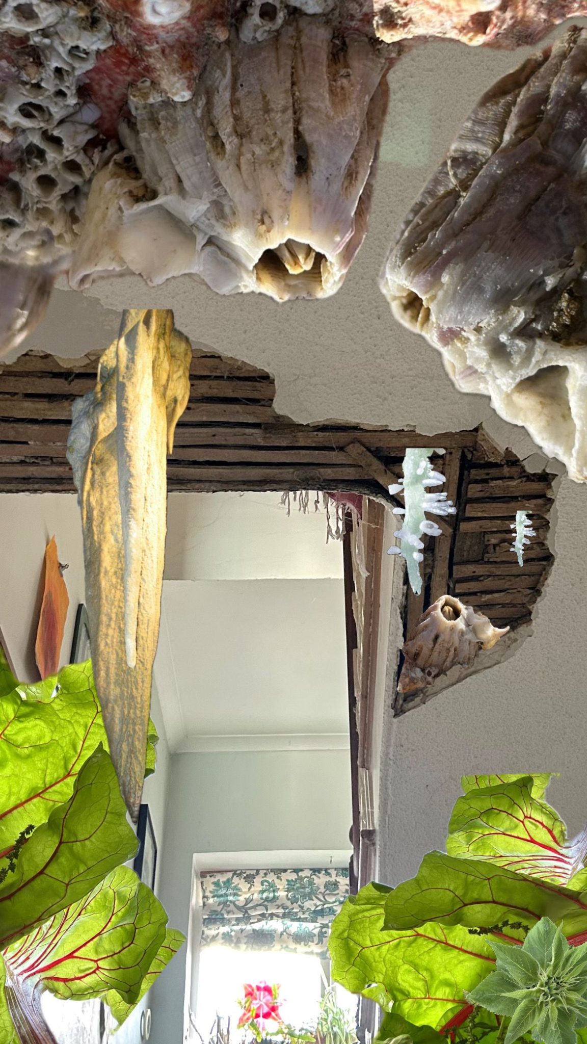 A collage done on my phone, the background is a hole in my ceiling around it i've place barnacles and staligtights
