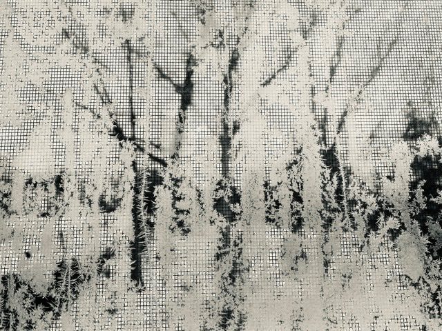 Black and White Photograph depicting frosty windows with trees and snow in the background