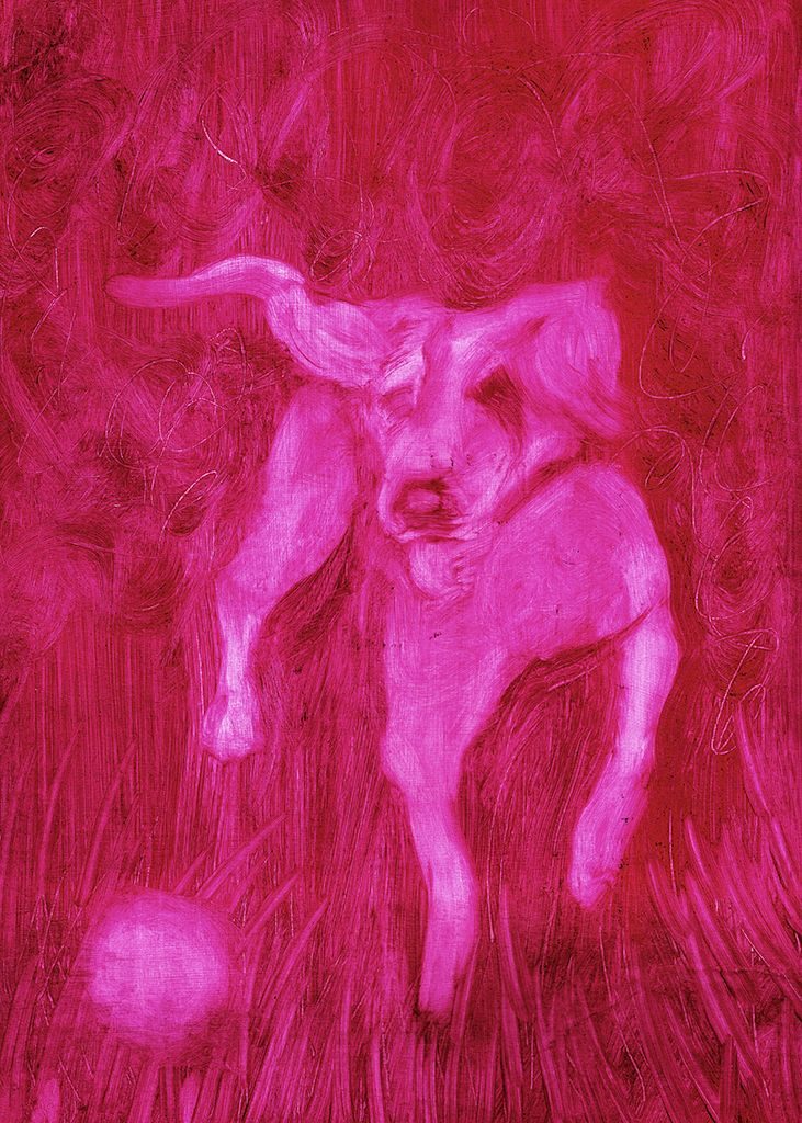 Oil sketch, in pink, on a piece of men's shirt packaging that depicts a dog chasing a ball.