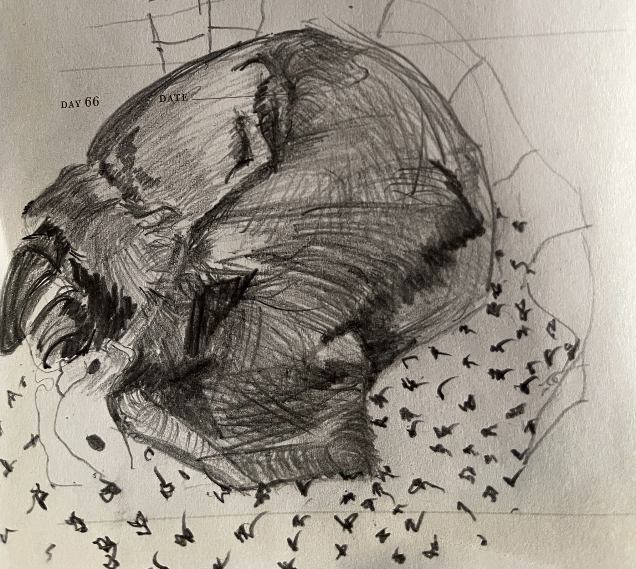 Graphite pencil trying to follow th complicated patterns of her coat