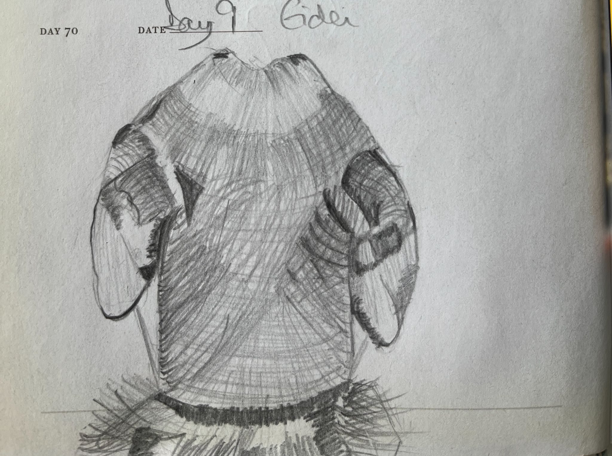 A view from behind the head