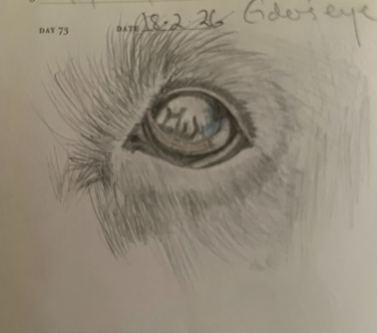 realising how much the eye takes in and reflects back to me