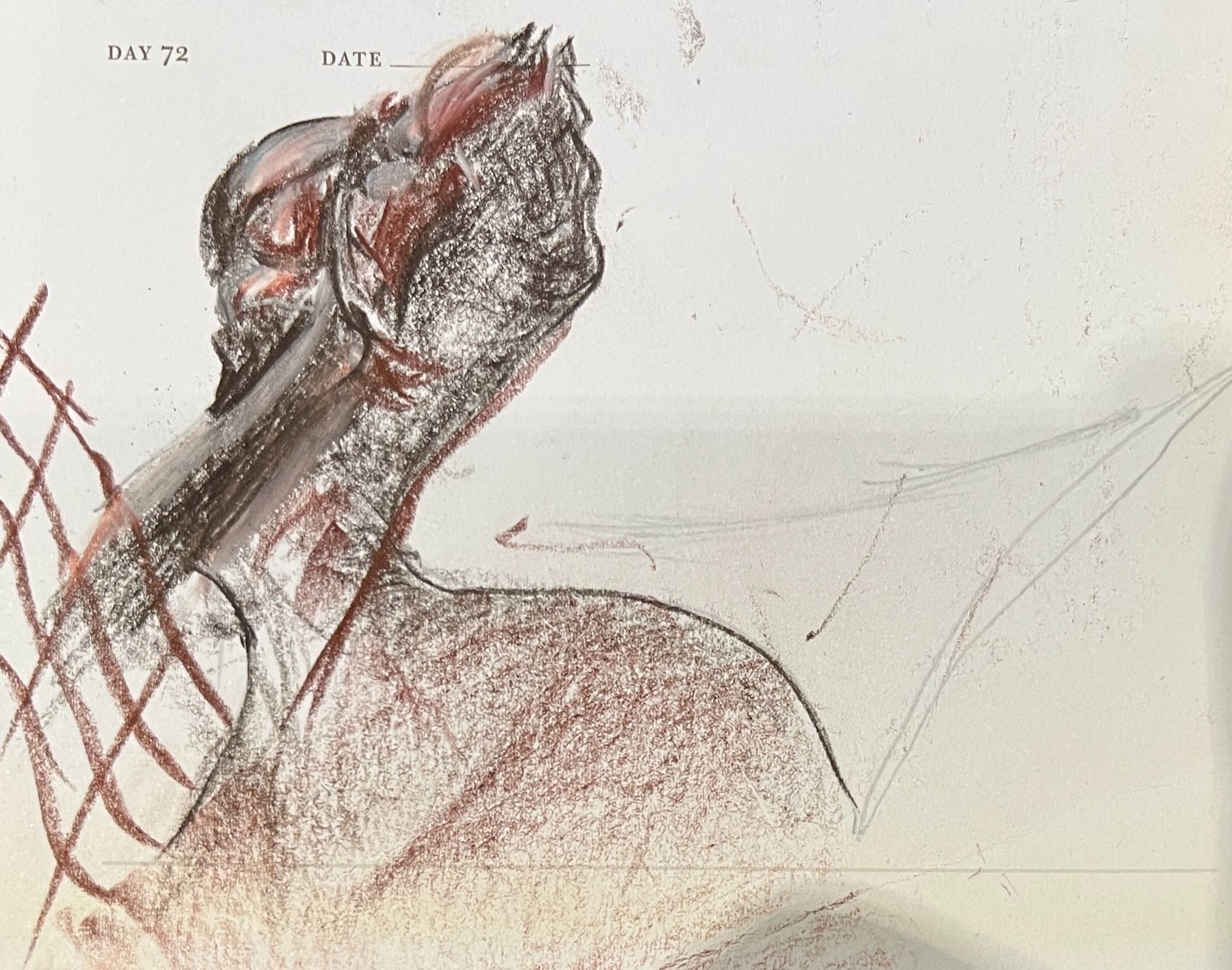 conte crayon to create the sheen on the pads of her back feet