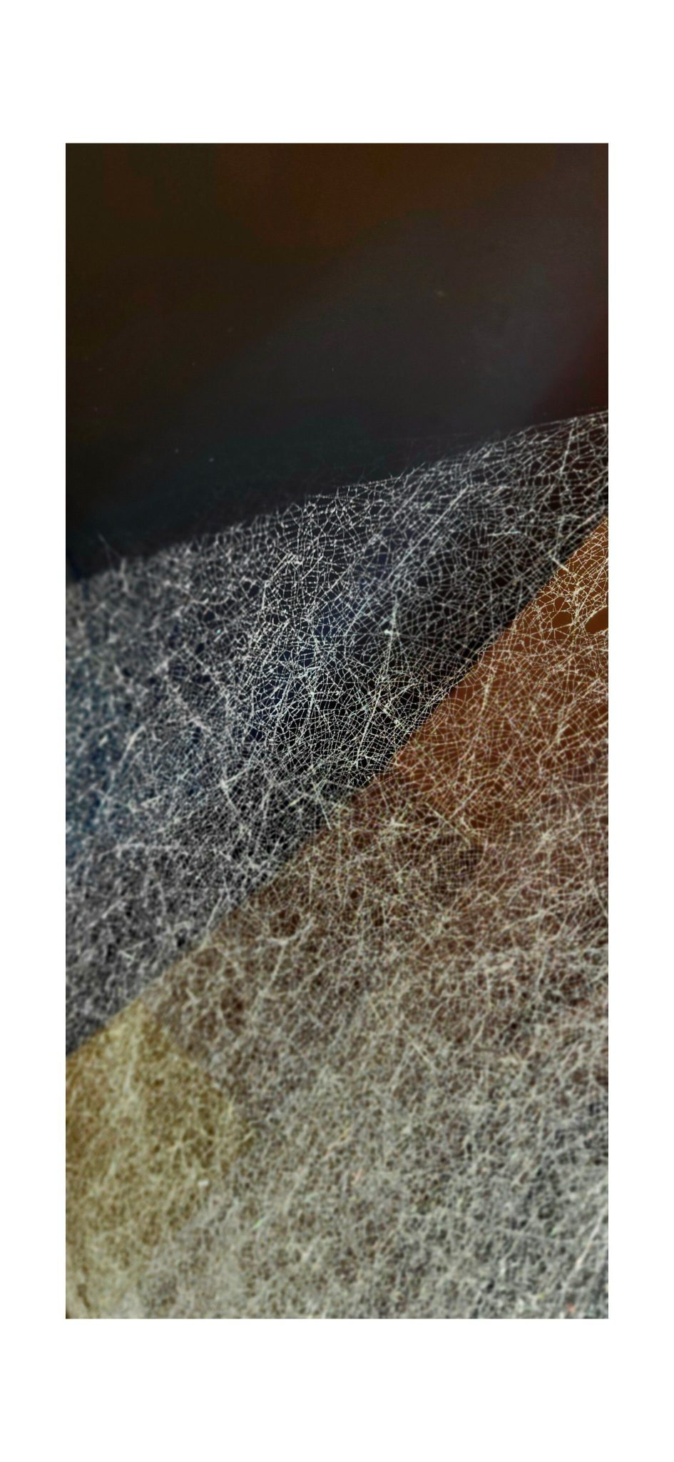 A stylised photograph of an elevated fine spider's web