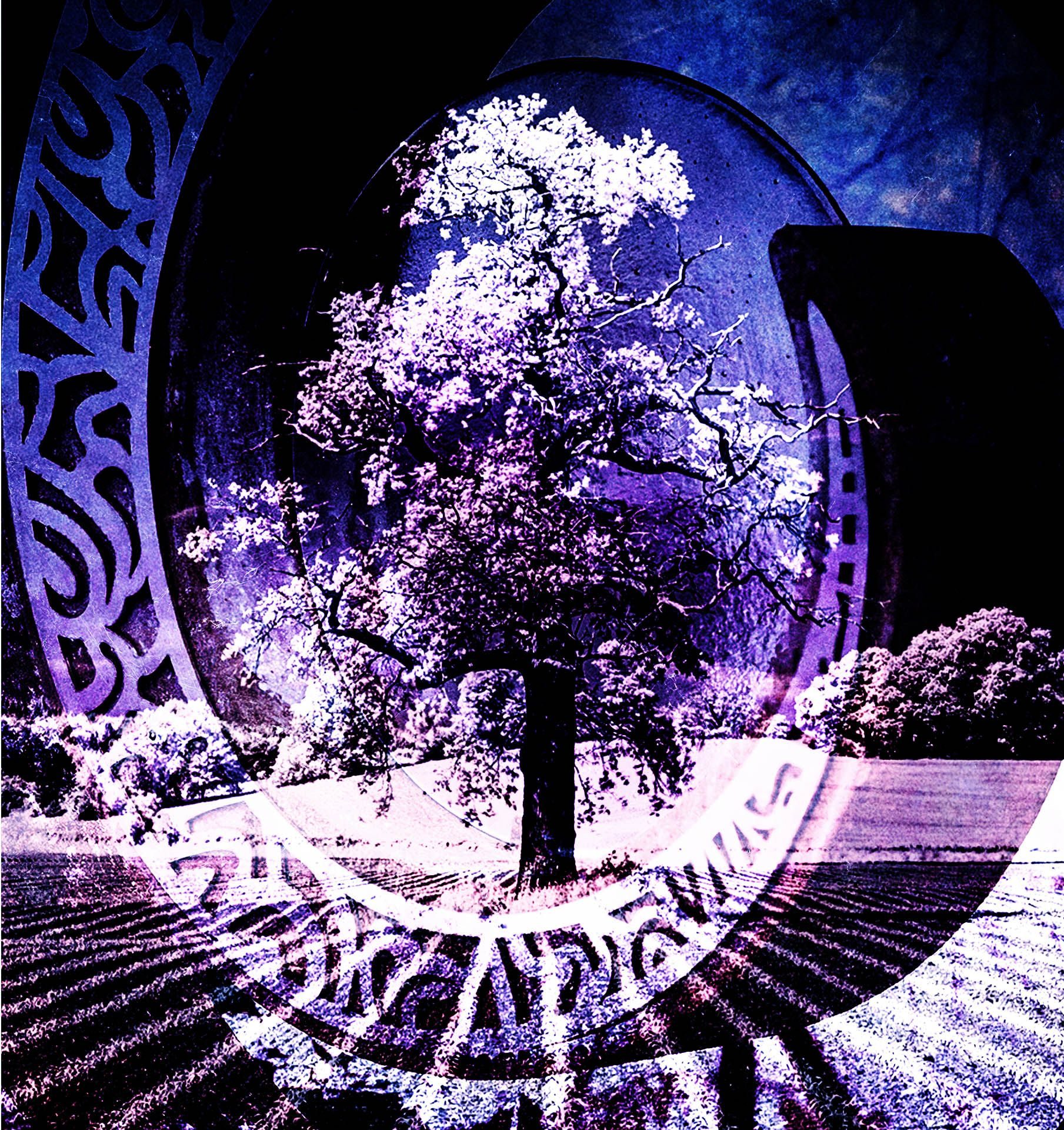 A composite of 2 infrared images blended in Photoshop with some added textures