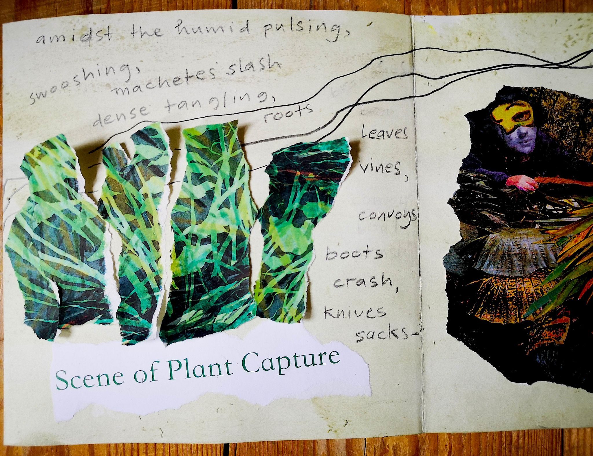 a collage of plants not fully glued to the page, with text describing a scene of Plant Capture