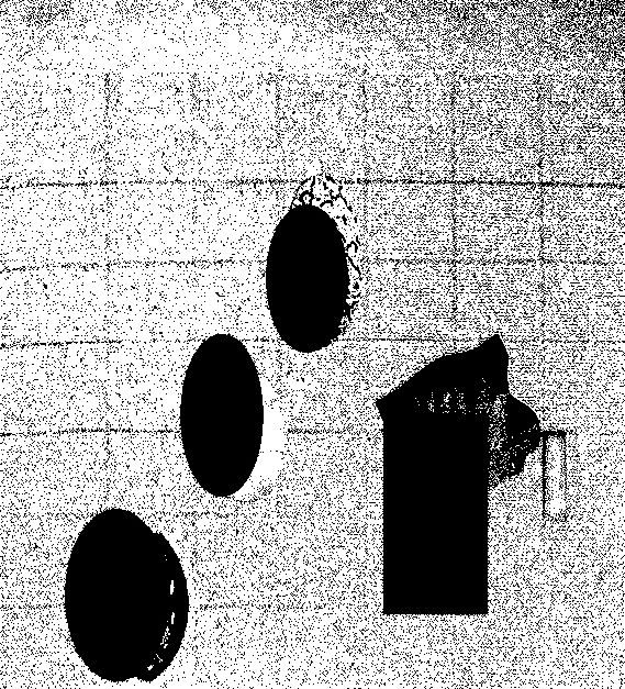 an image resembling a photocopy of an abstract composition of elipses and a rectangle covering a bust