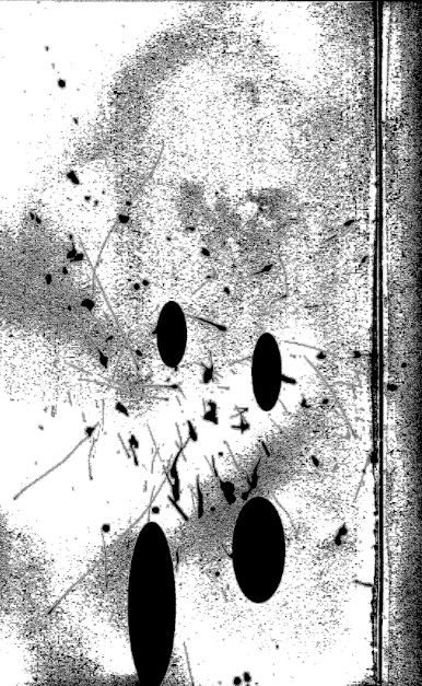 an abstract composition of black ink splashes overlayed with four black elipses