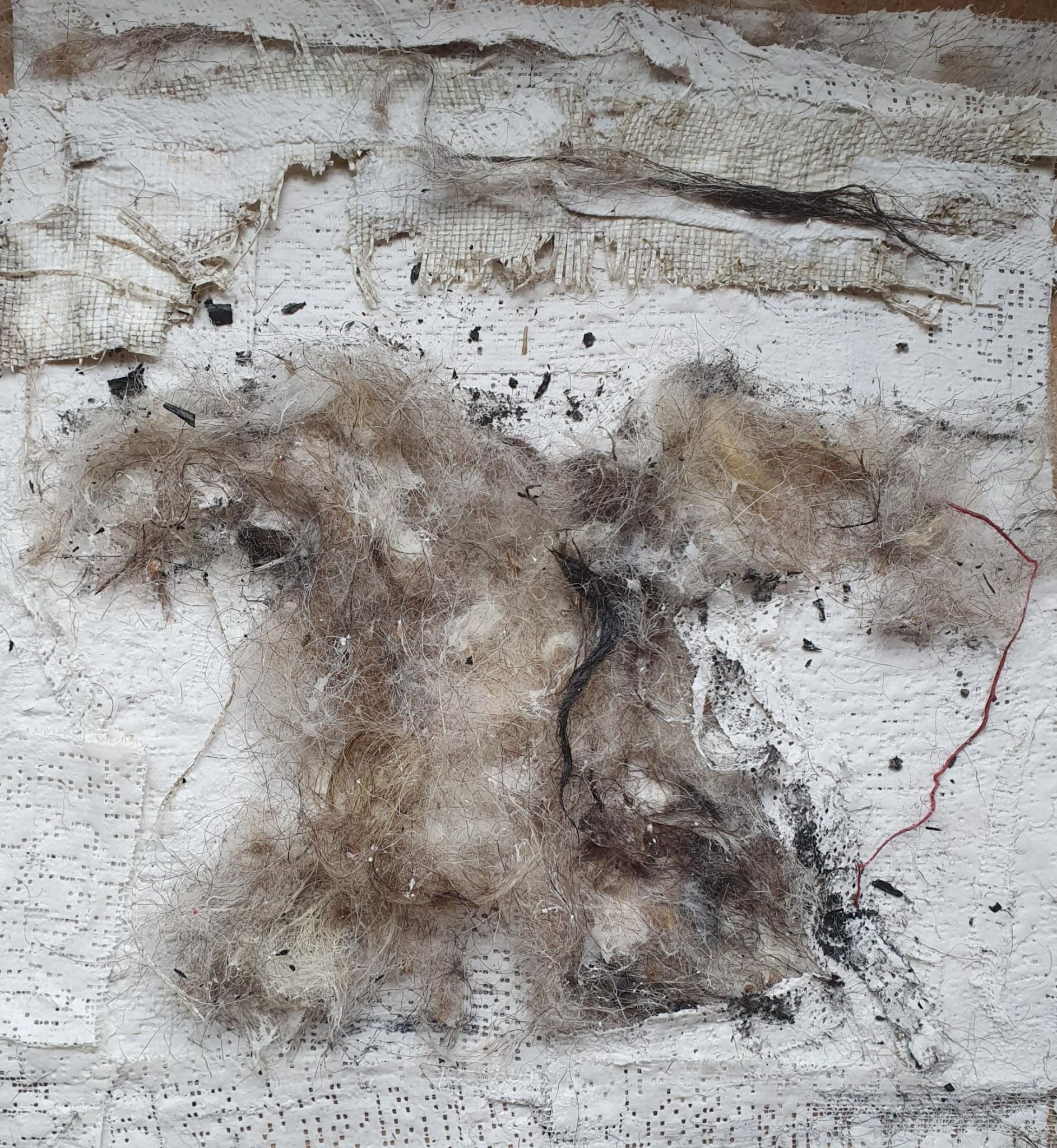 Today's prompt made me use modroc plaster bands, water, sheep wool, a bit of white plastic I've found on my morning walk. I like having a thin red thread in my work somewhere.