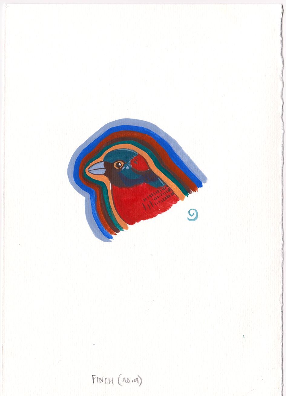 A painting of a finch head surrounded by a rainbow of colours with the number 9 underneath it
