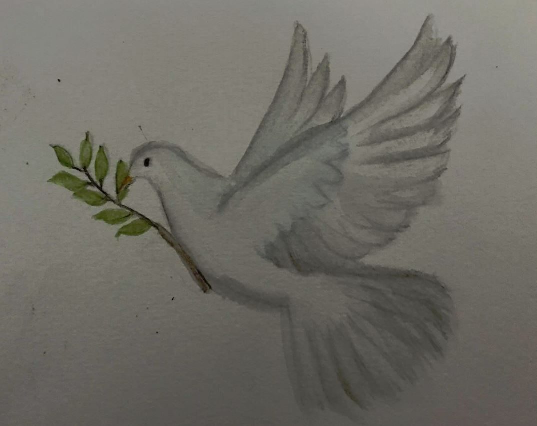Watercolour dove with olive branch