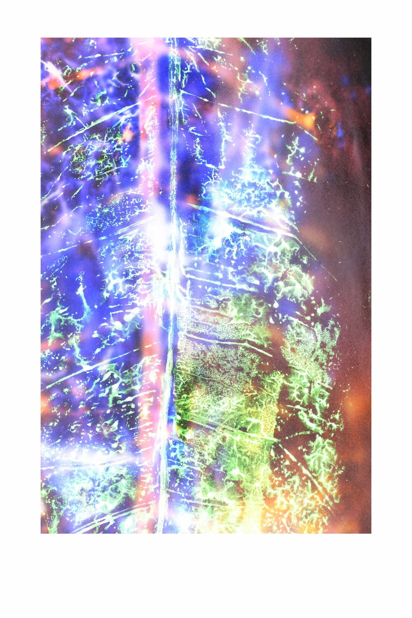 digital art out of leaf stamp on acrylic backlight photography