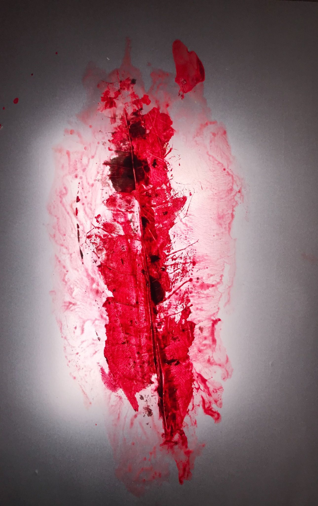 A leaf painted with furious red, stamped on translucent paper, photographed with backlight