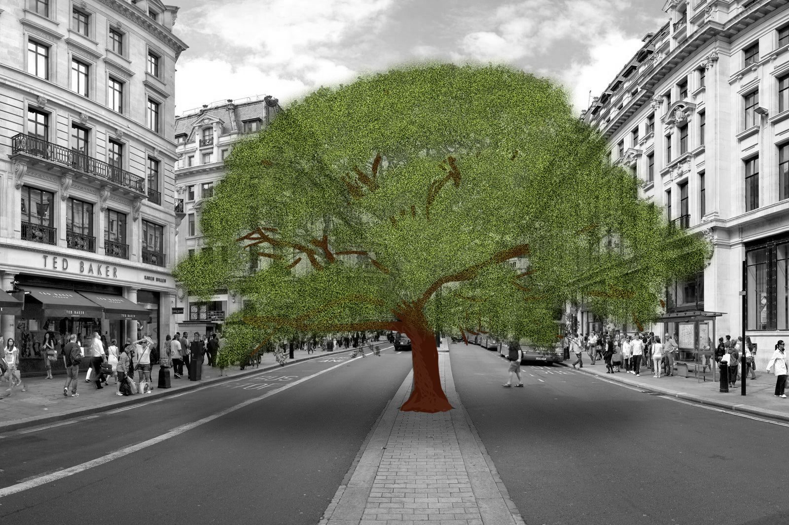 A hand drawn tree is shown superimposed on a drab streetscape