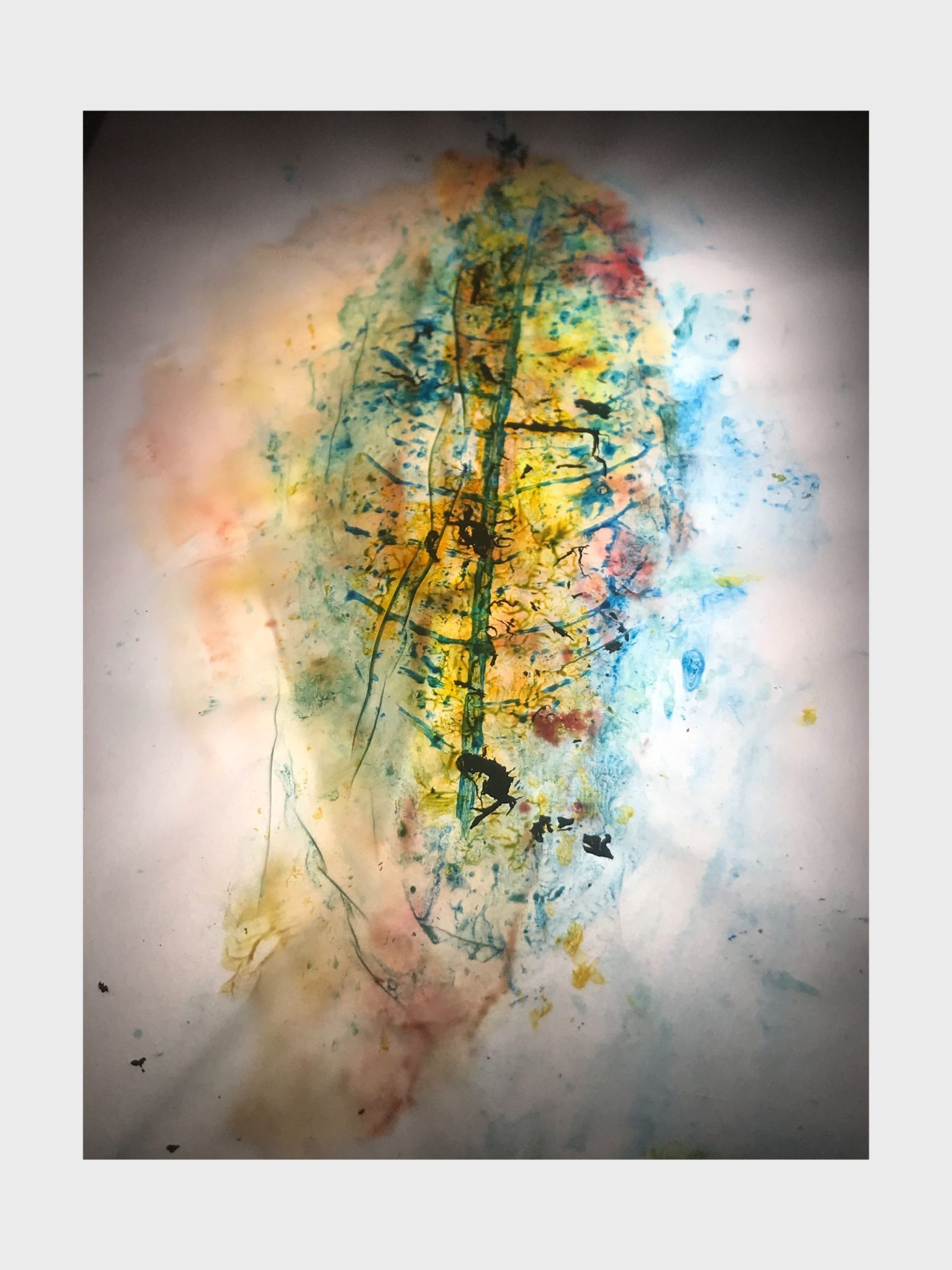 stamped leaf with light blue / green acrylic on translucid paper photographe with backligh