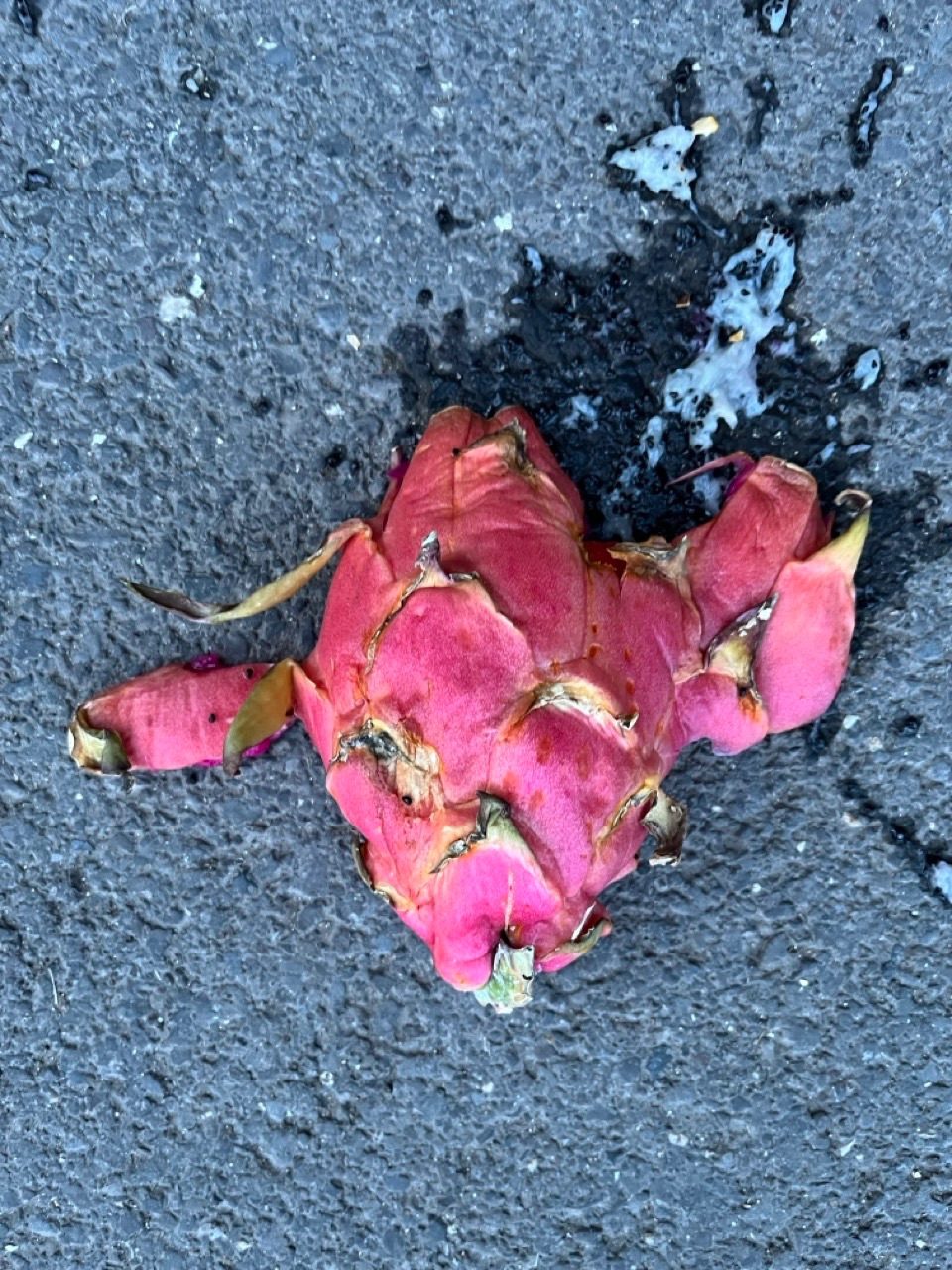 A smashed fruit on the asphalt