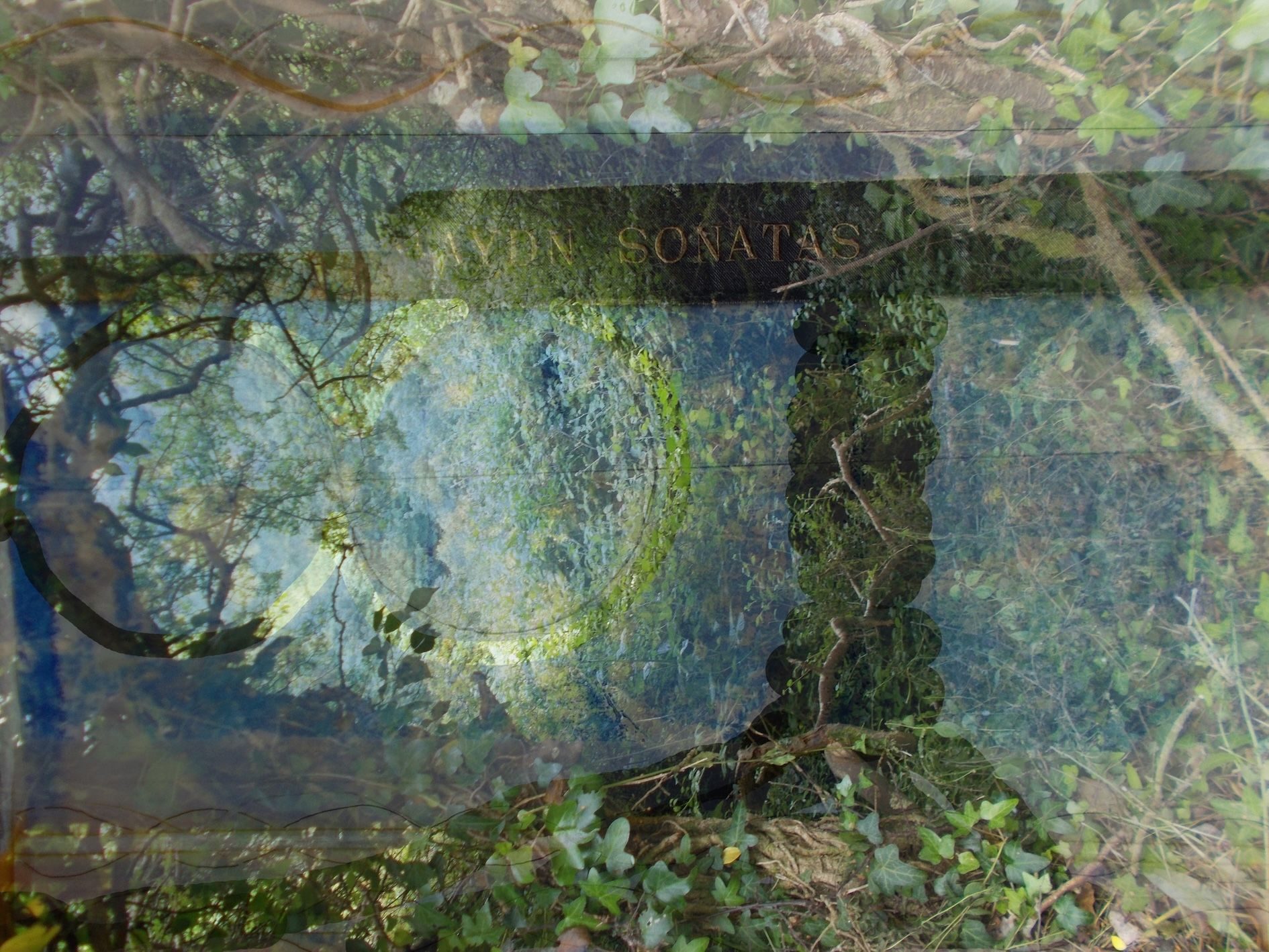 collage of various papers and tracing paper, then collaged over one of my photographs on Photoshop