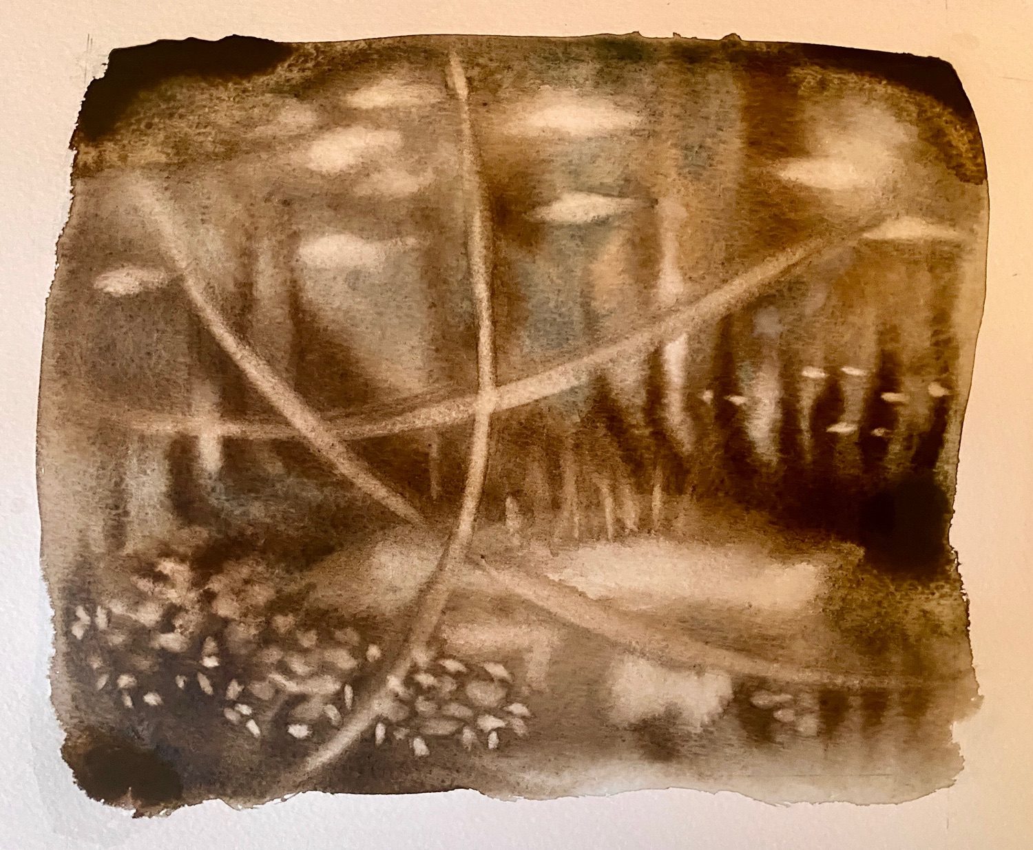 Lianas (tarzan vines) - some kind of smoosh jungle or forest, a possible lake, vegetation, flowers, reeds and flying saucers. Probably peeping eyes too. Nebulous watercolour, wet on wet in muted browns and an hint of dark blue.