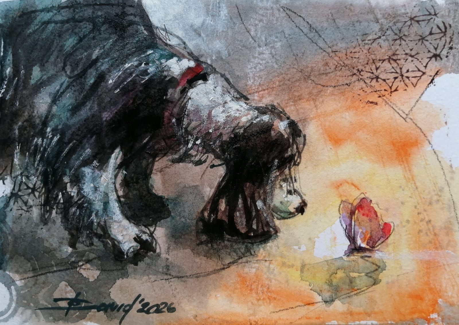 A black and white dog sniffs at a butterfly on the street.