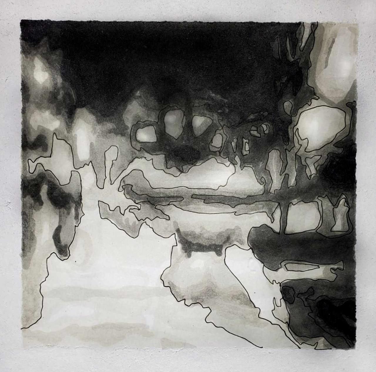 A monochromatic abstract image with organic shapes in varied tones from light to dark