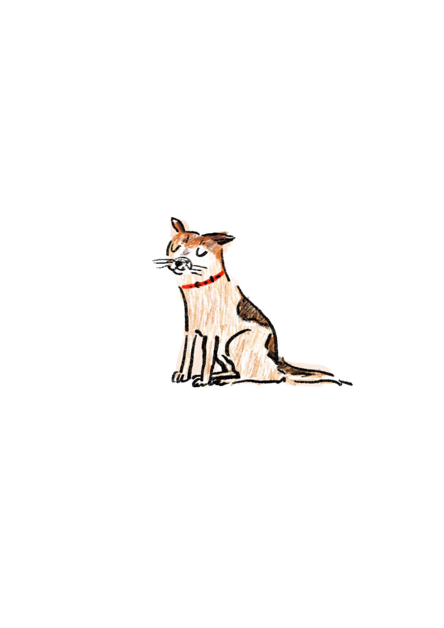 A chihuahua. Coloured pencil on digital.