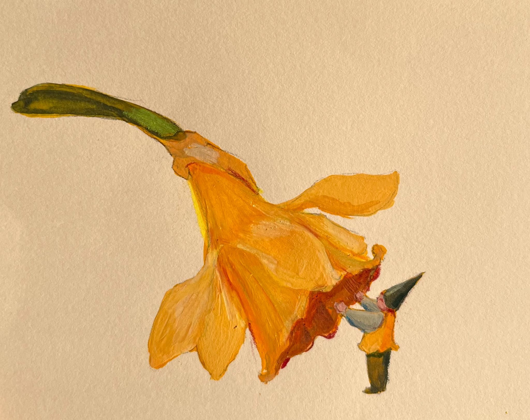 Little character looking into a daffodil.