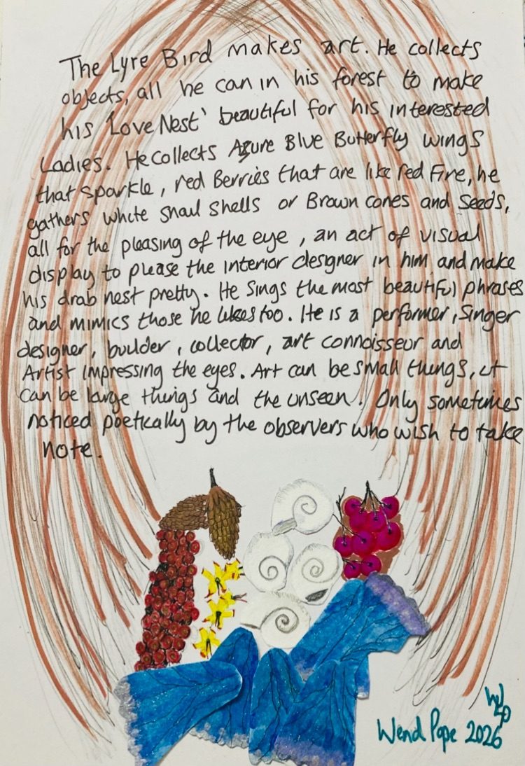 It is a background on paper of a Lyre Birds nest which is basically sticks thrust in the ground in the shape of an overlapping U shape so sticks creating a space for a space for the Lyre Bird or Bower Bird to put its treasures for the females to look at and admire, the inscription says on top of the art work…” A Lyre Bird makes Art. He collects objects, all he can in his forest to make his ‘Love Nest’ beautiful for his interested ladies. He collects Azure Blue Butterfly Wings that sparkle, red Berries that are like fire, he gathers white Snail shells or brown cones and seeds, all for the pleasing of the eye, an act of visual display to please the interior designer in him and make his drab nest pretty. He sings the most beautiful phrases and mimics those he likes too. He is a performer, singer, designer, builder, collector, Art Connoisseur and Artist impressing the eyes. Art can be small things, it can be large things and the unseen. Only sometimes noticed poetically by the observers who wish to take note.” The lower part of the picture is red Berries drawn and painted with brown pine cones and a few yellow flowers on the left of the nest in the middle ground beside this is a few drawn and cut out of paper white snail shells, below this is 6 drawn and cut out Butterfly wings in blue with lines and highlights and some thing to make it shine as Butterfly’s wings tend to do. Beside the snails shells are a few purple Berries with stalks on again painted and inked so there is a few different colours I imagined the bird would have collected. It is signed Wend Pope in the bottom right hand corner 2026. So it in short is a nest with writing over the top of the picture with red and purple berries, snail shells butterfly wings giving the impression of a Lyre or Bower birds nest. For the prompt of “who gets to be an Artist?”
