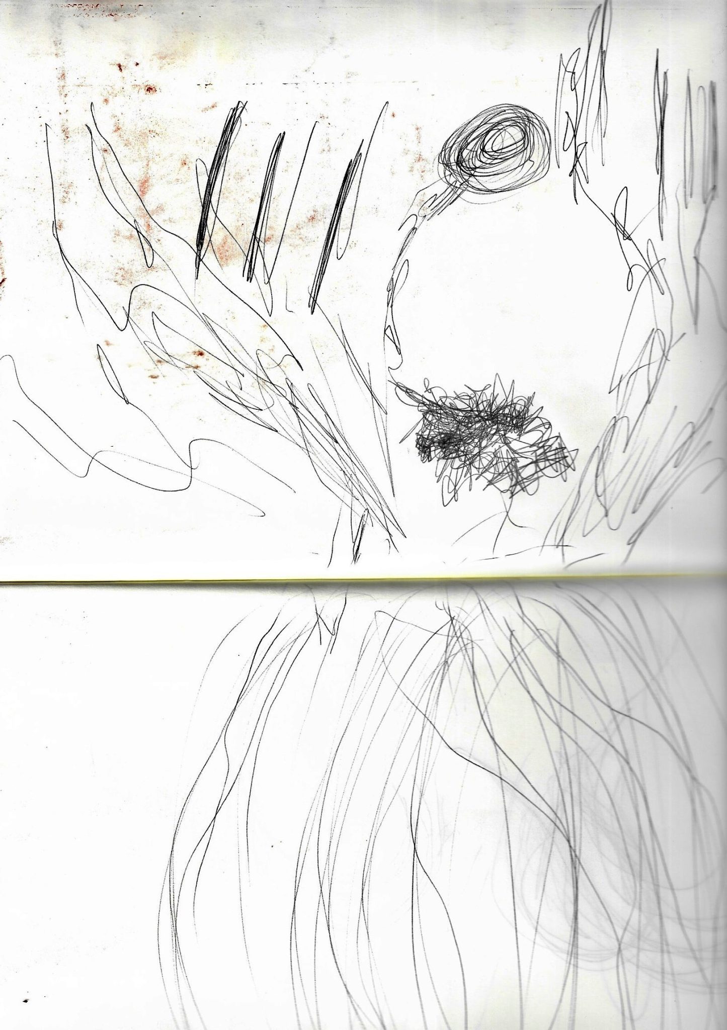 A sensory biro drawing on paper of a nervous system, made with coded eyes. There are a lot of pen strokes and movement in the image.