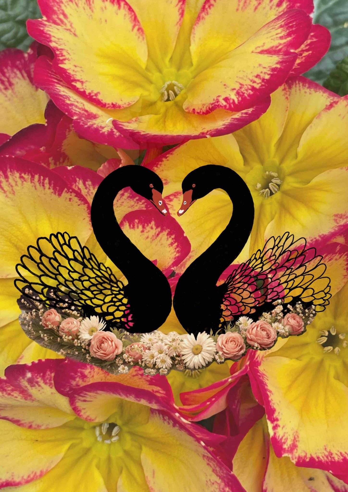 Flower photo background with two black swans drawn facing each other and flowers around them