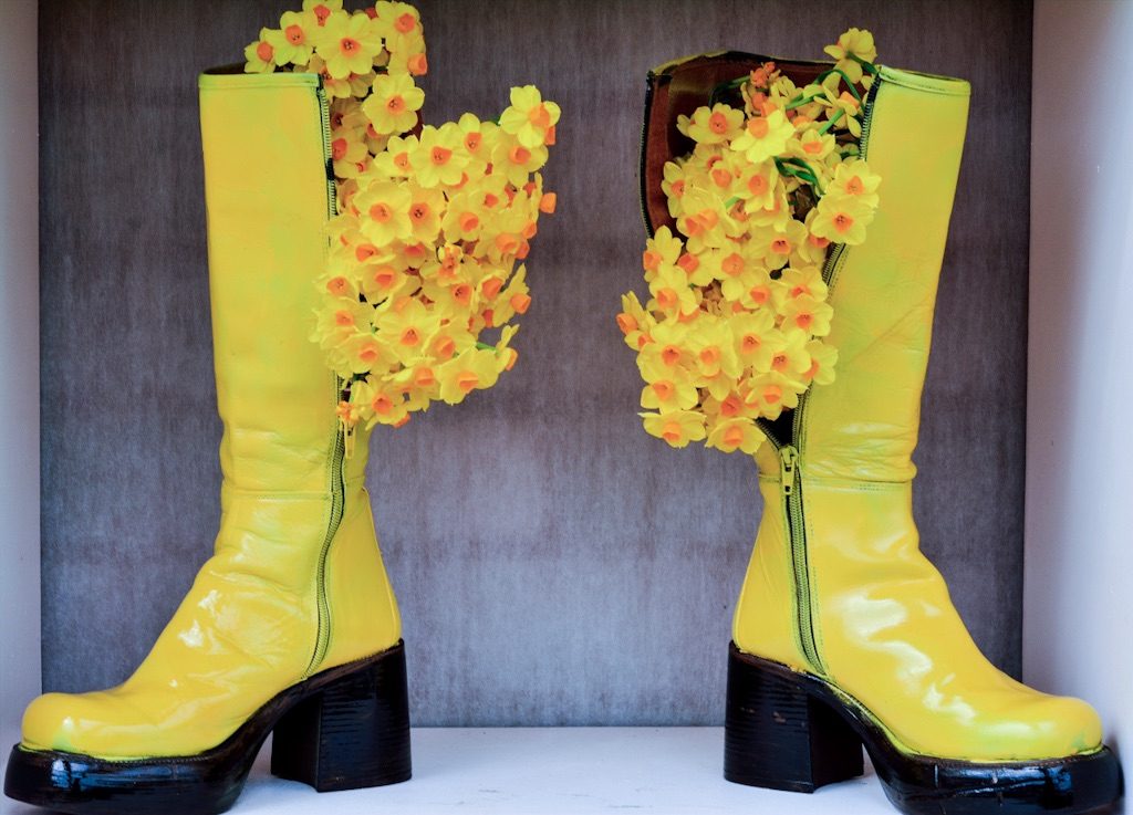 A photo of two yellow boots on a shelf. They are filled with daffodils