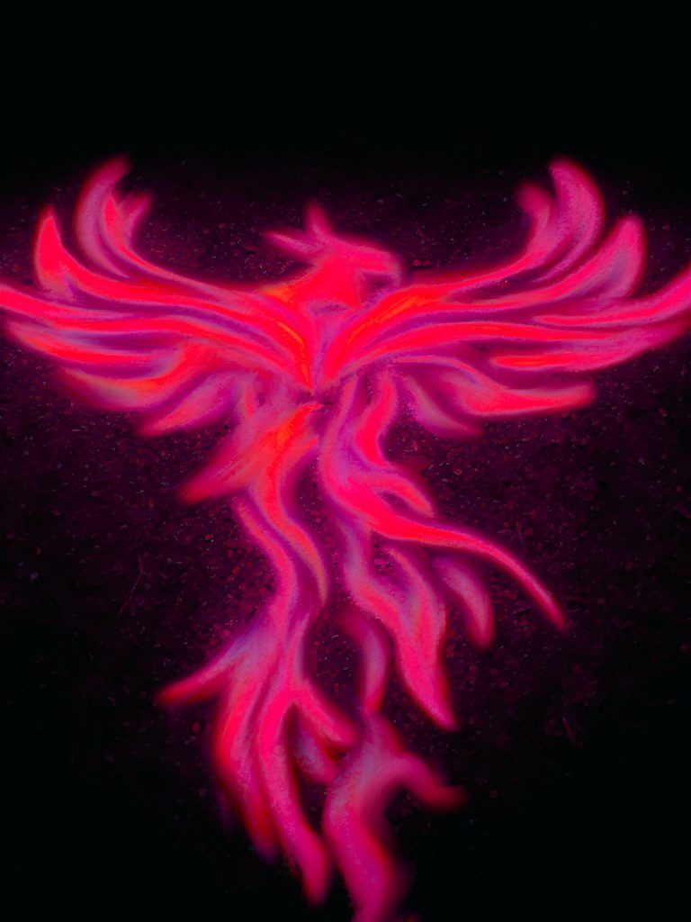 A drawing of a phoenix in flames