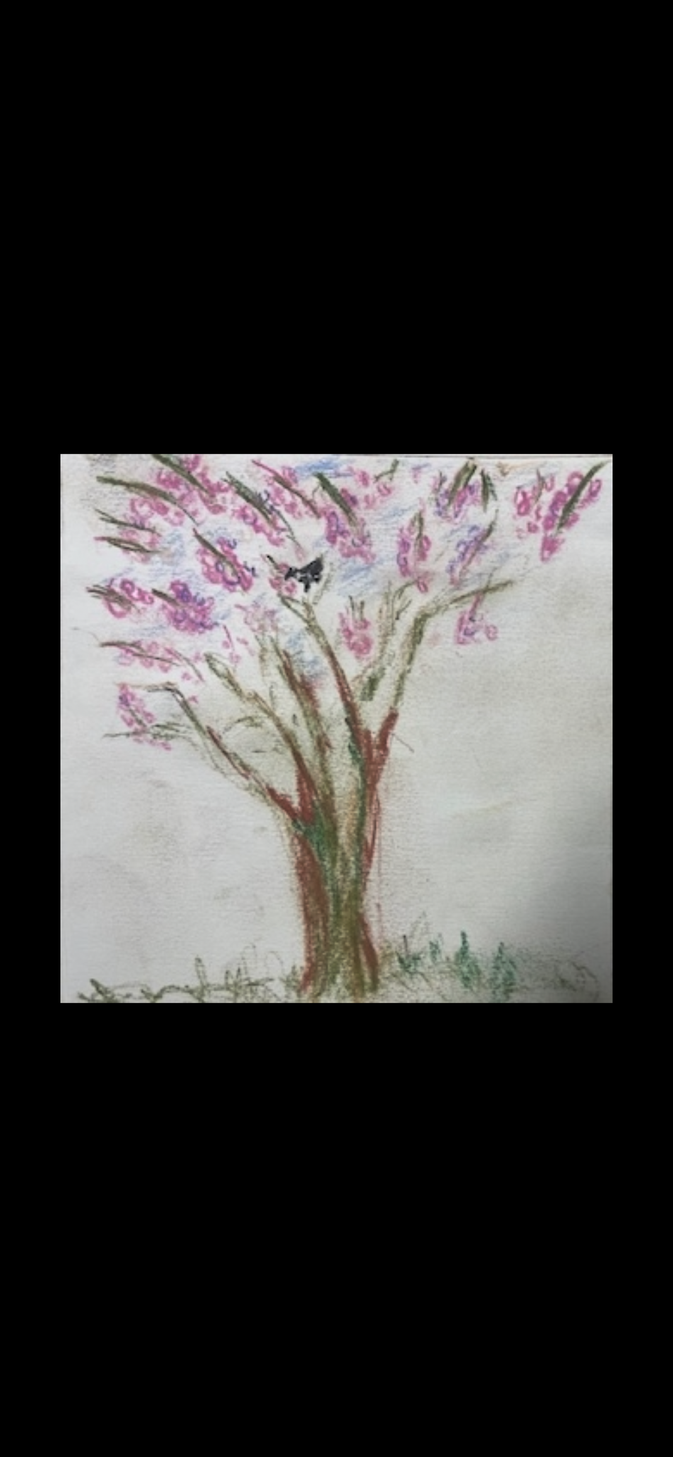 Colour Pencil drawing