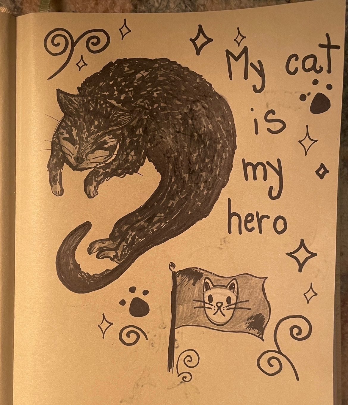Drawing of my cat with some stars and a little flag with a cat head on it.