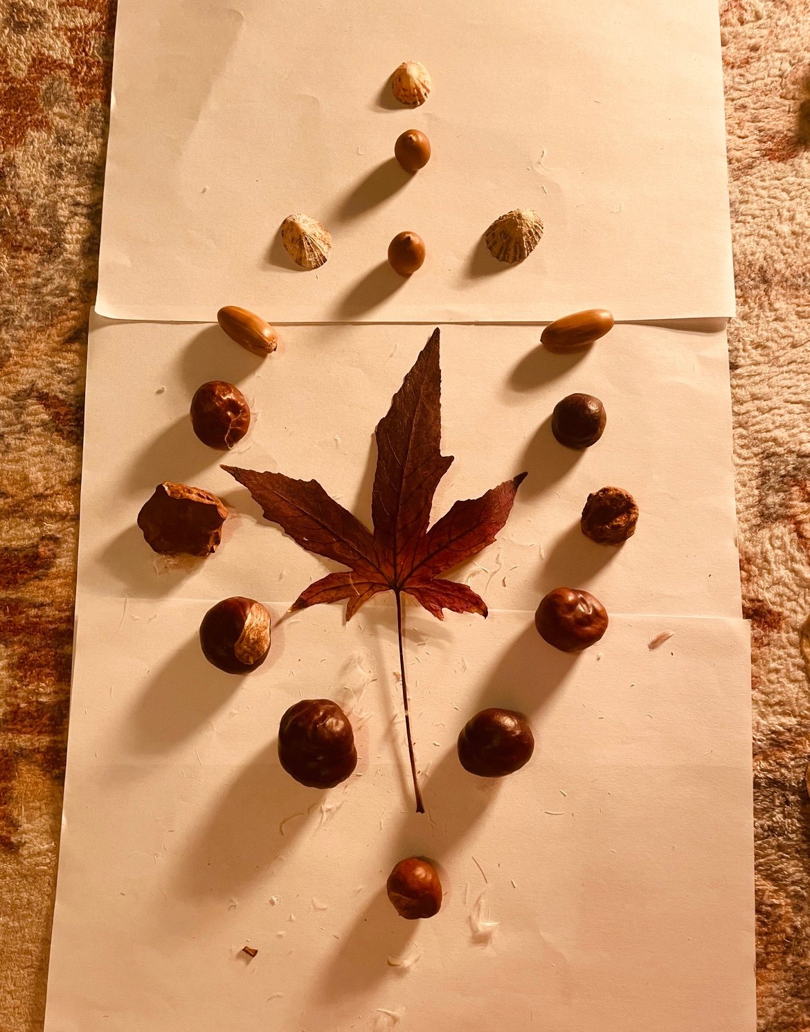A mural made of chestnuts, stones, acorns and seashells