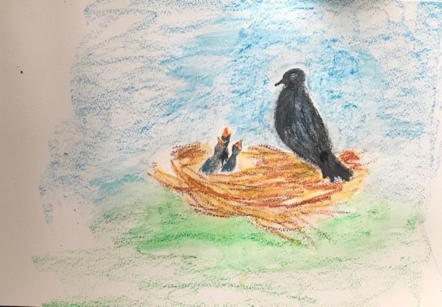 charcoal and oil pastels