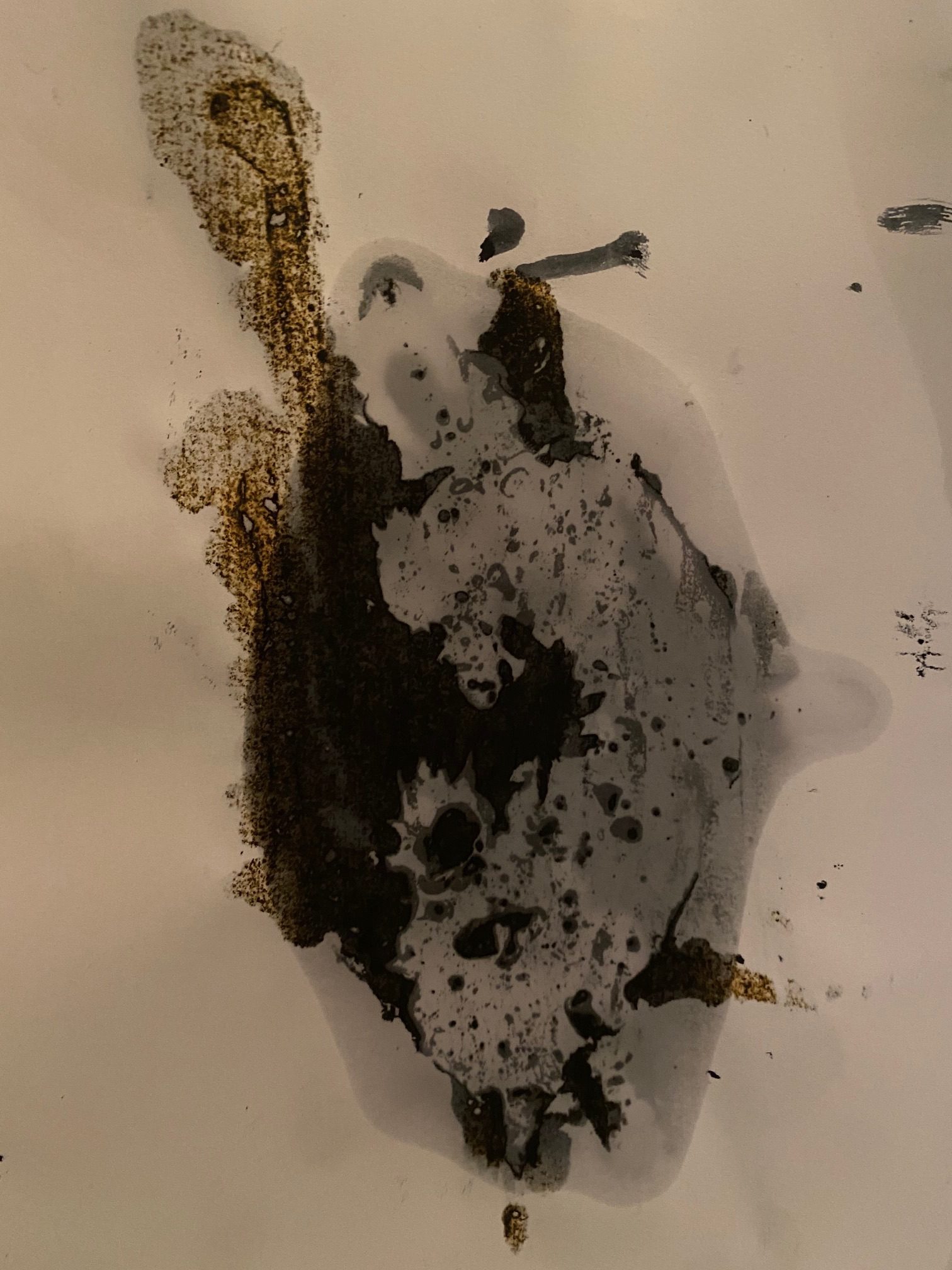 Print with indian ink and turmeric