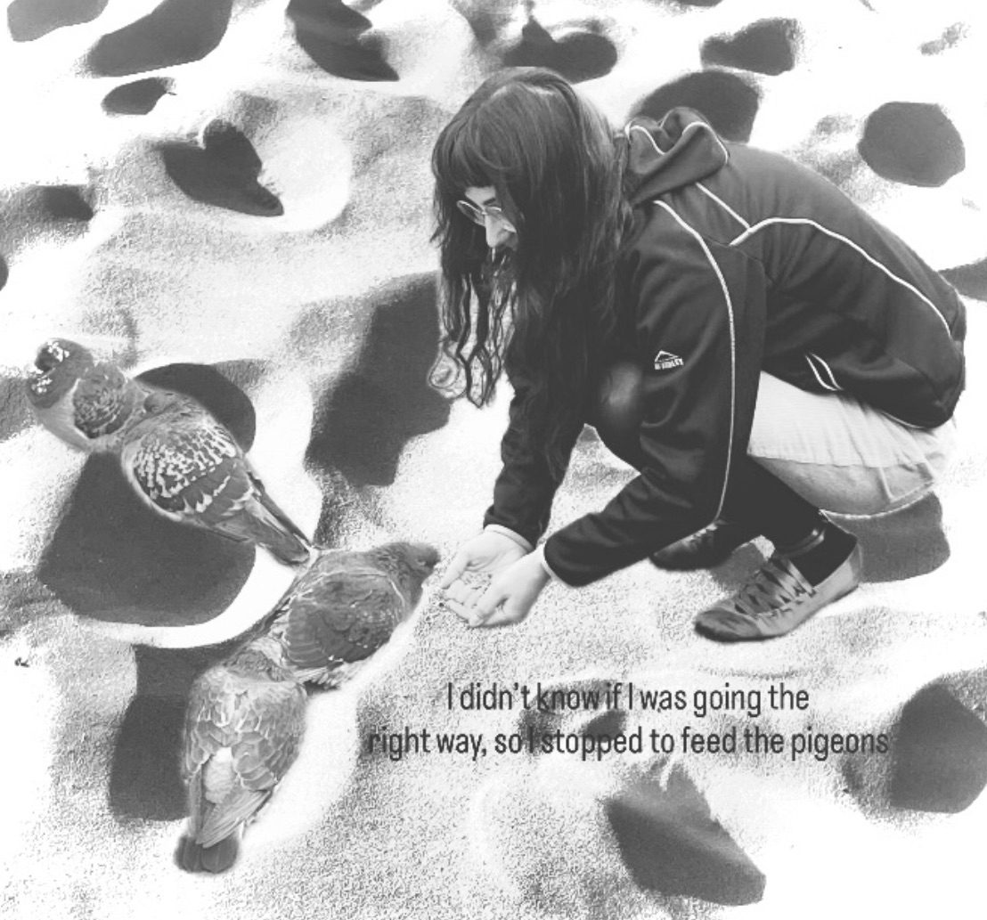 A collage made of pictures: 4 pigeons and me feeding the pigeons with the text: I didn’t know if I was going the right way so I stopped to feed the pigeons