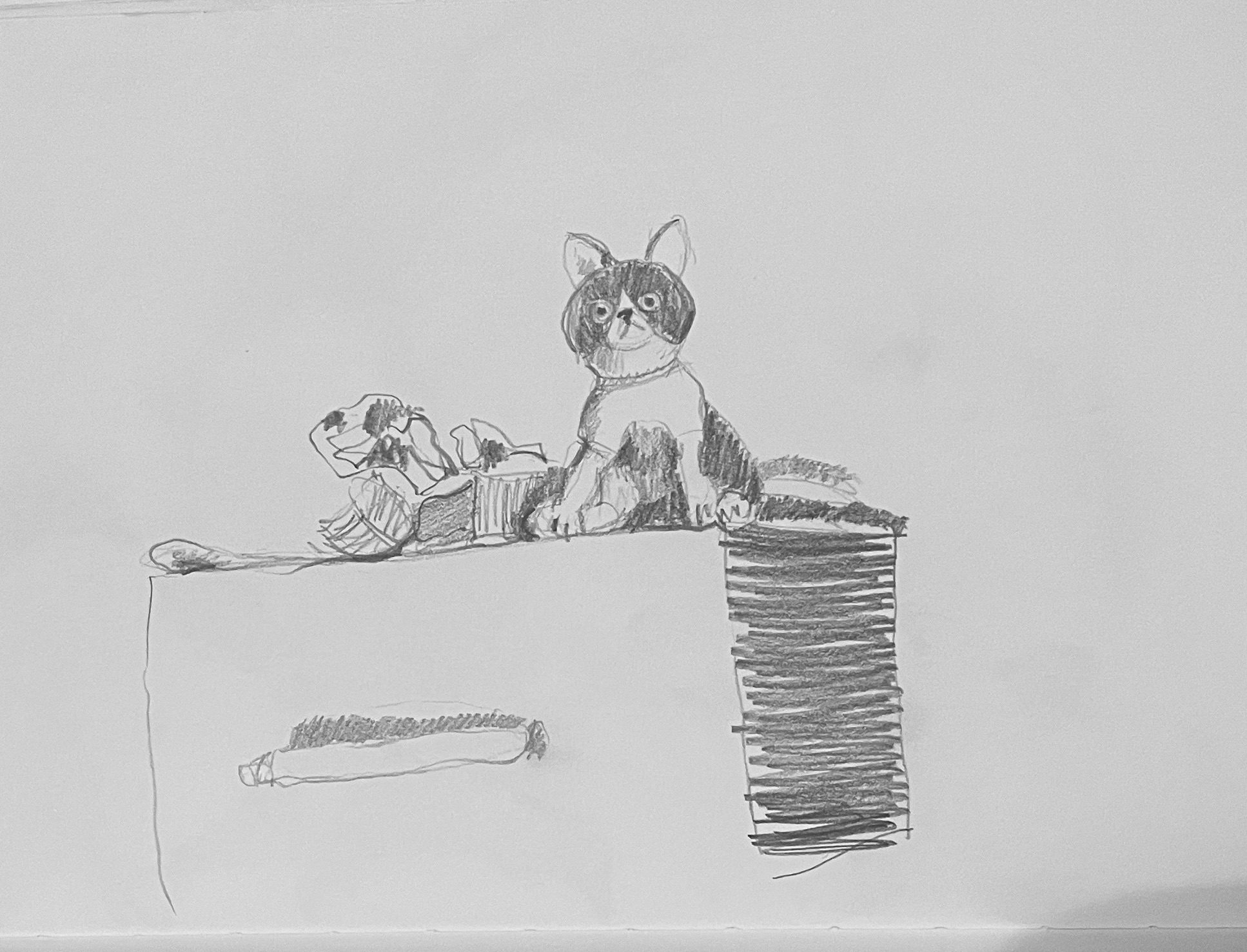Pencil drawing of a toy cat