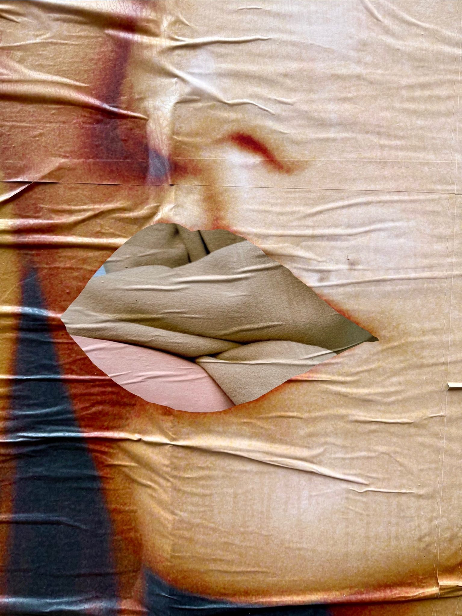 analogue & digital collage cropped lower part of a woman's face with the lips collaged with an image of fabric rolls