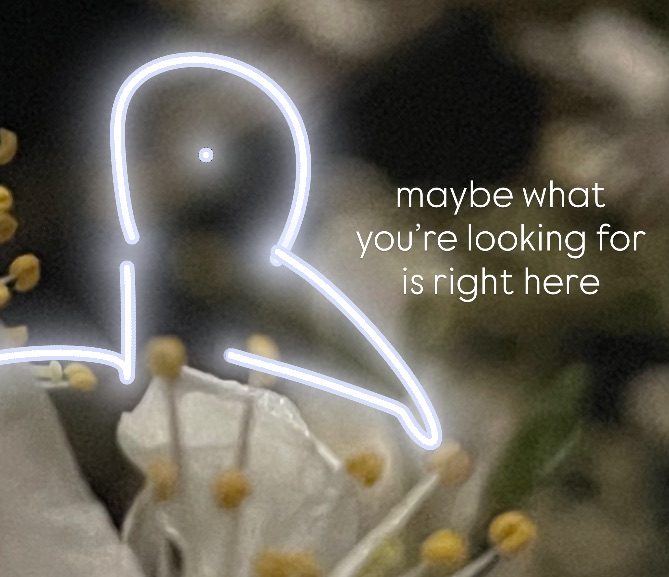 A picture of a flower, on top a doodle of a bird and the text “ maybe what you’re looking for is right here “