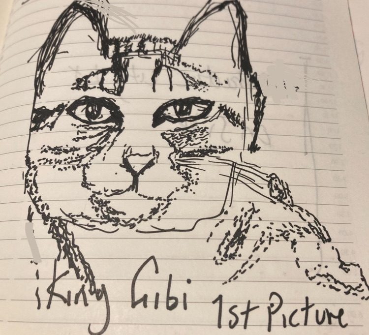 A picture of Tabby cat done in small broken lines and dots and an attempt to not have colours or details, it is done so it’s an expression of shapes of my cats face and using suggestions of stripes and spots on the face and shape of the jowls using dots to build up the face but not all the face has been pen marked, I don’t usually use this sort of style of drawing as it takes time rather than a stroke of a line it’s to suggest salt and pepper colouring of the subject Gibi it is using a ink pen on a lined notebook. It’s about 10cm by 10cm size picture. Prompt Be a beginner. Title First Picture Of King P.I.Gibi. He is called Gibi but I now call him P.I. Gibi because he doesn’t stop eating.