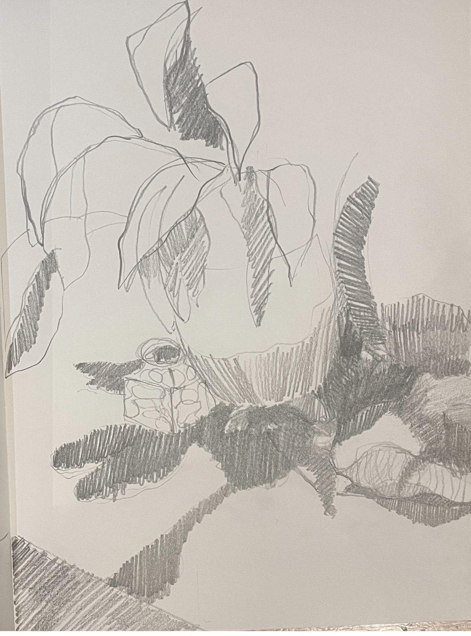 Shaded pencil drawing of shadows and leaves