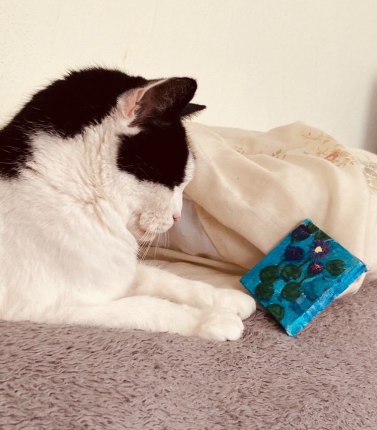A picture of my black and white cat and she is looking at a piece of art I made with a 5cm by 5cm canvas the canvas is of water lilies pads and flowers, she is looking intensely at the piece I had made she has been looking intensely for 10 minutes, without looking away and with intent not falling asleep and me asking her “do I have your seal of approval” she wouldn’t usually bother to look unless she was watching the paint brush and the pencils moving about sometimes looking at a work build up on a page but then turn away and sleep. This is a head and shoulder image of my cat a black and white tuxedo cat that has black ears and black mask as fur and looking at a picture of waterlilies very close to her paws intently and admiring the picture looking very closely at it on a fleece of grey with pale wallpaper background, prompt : Make an artwork for someone that doesn’t like art. A cat usually has no interest in art of anything their humans do except when we are in the bathroom doing bathroom things or when we are eating and how to get our food into their bellies. The title is Art Intellectual Not AI. The Art Aficionado Approves