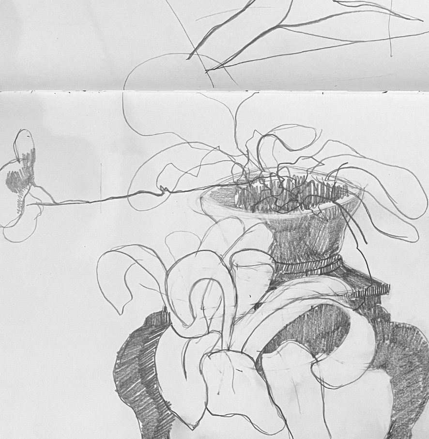 Pencil drawing of a plant