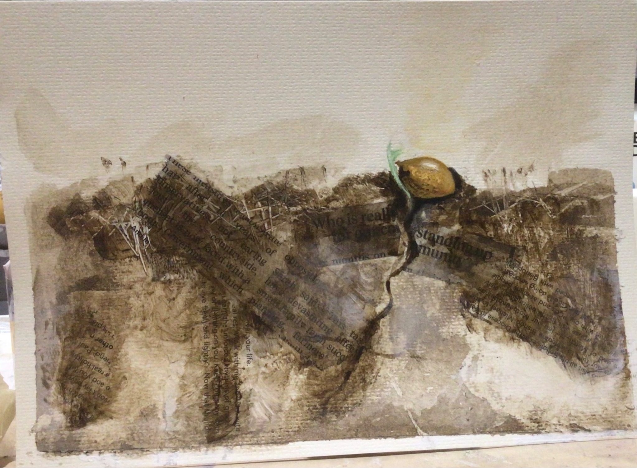 A seed planted in collaged text and is now sprouting