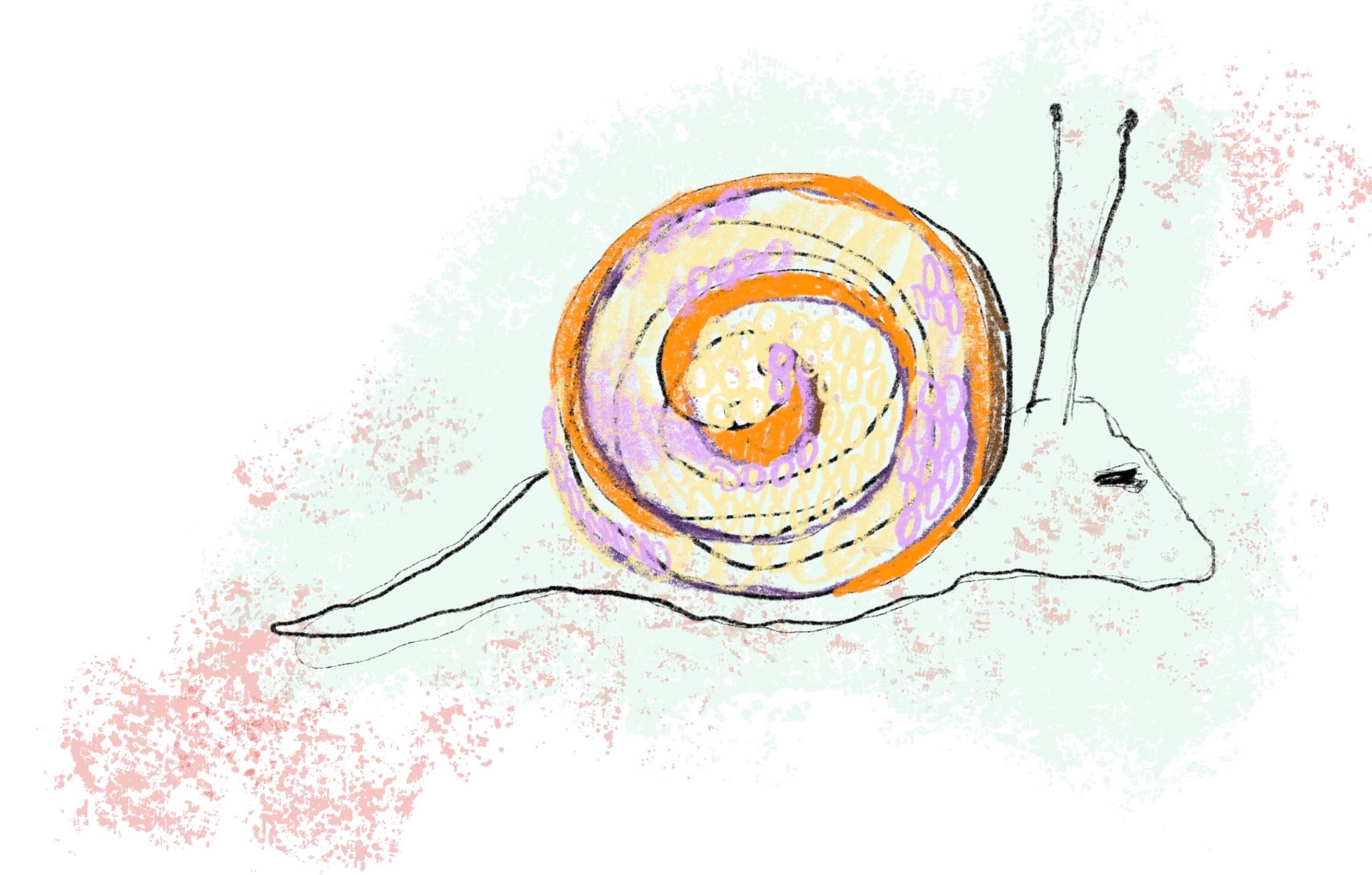 Snail sketch in bed