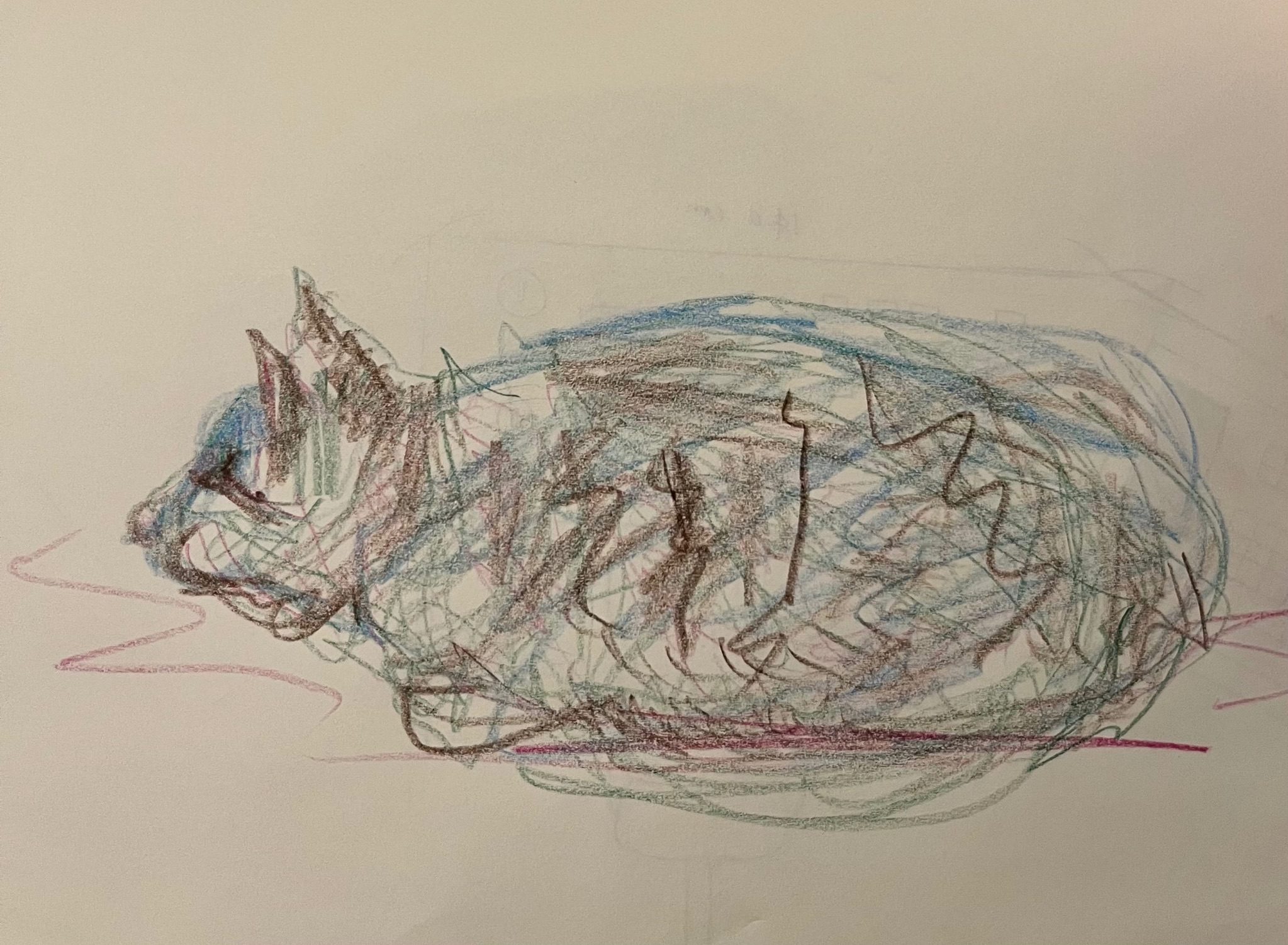 A horrible drawing of a cat