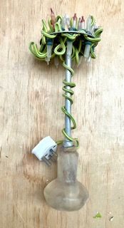 a kitchen tool wrapped in dead christmas lights