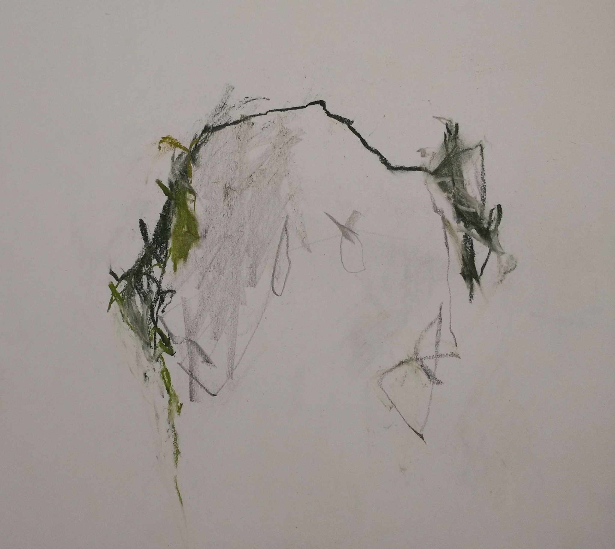 Trailing arc in two shades of green with charcoal marks and softer graphite back ground marks.